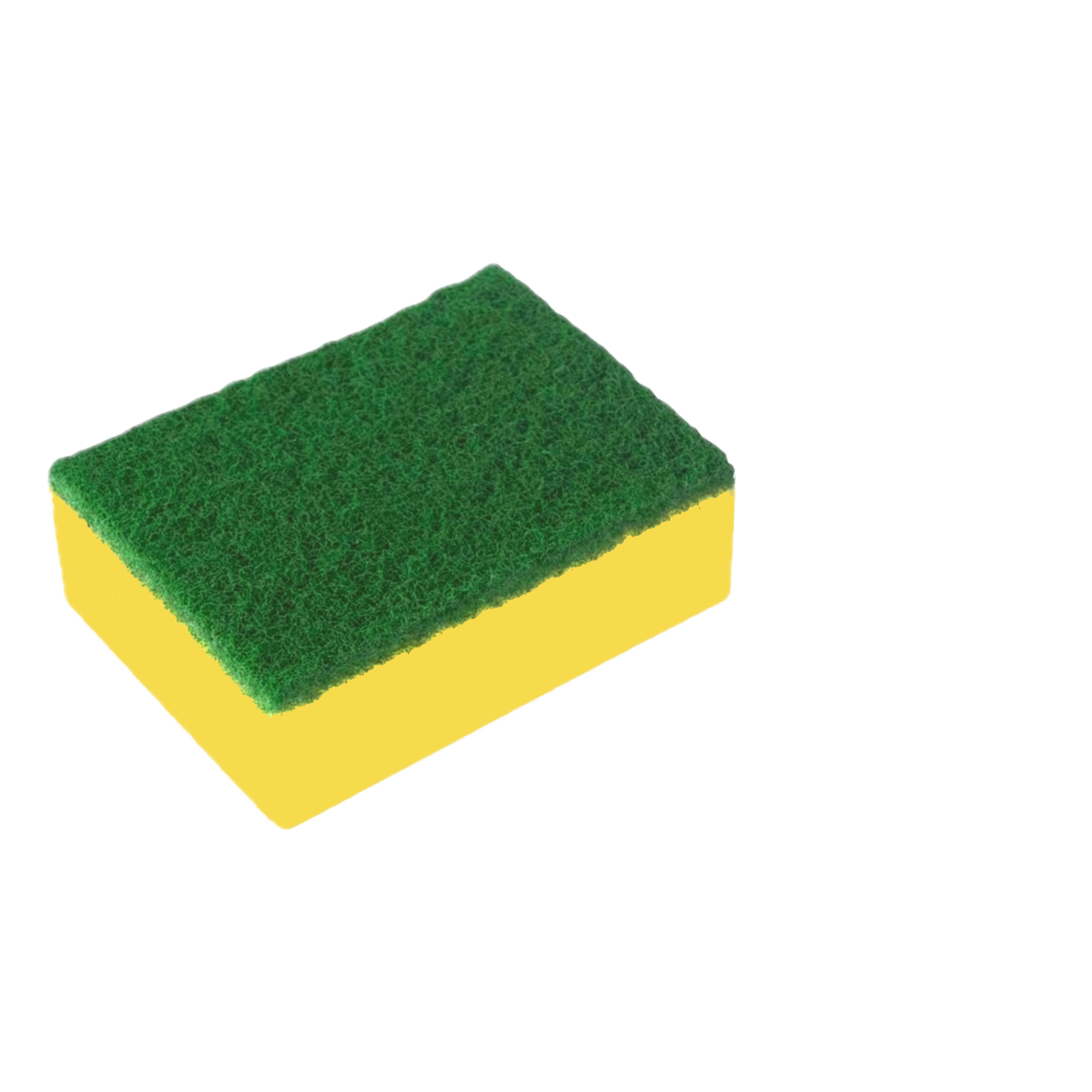 Esponja Recta